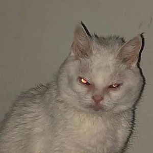 Meet your Posher, Estefania